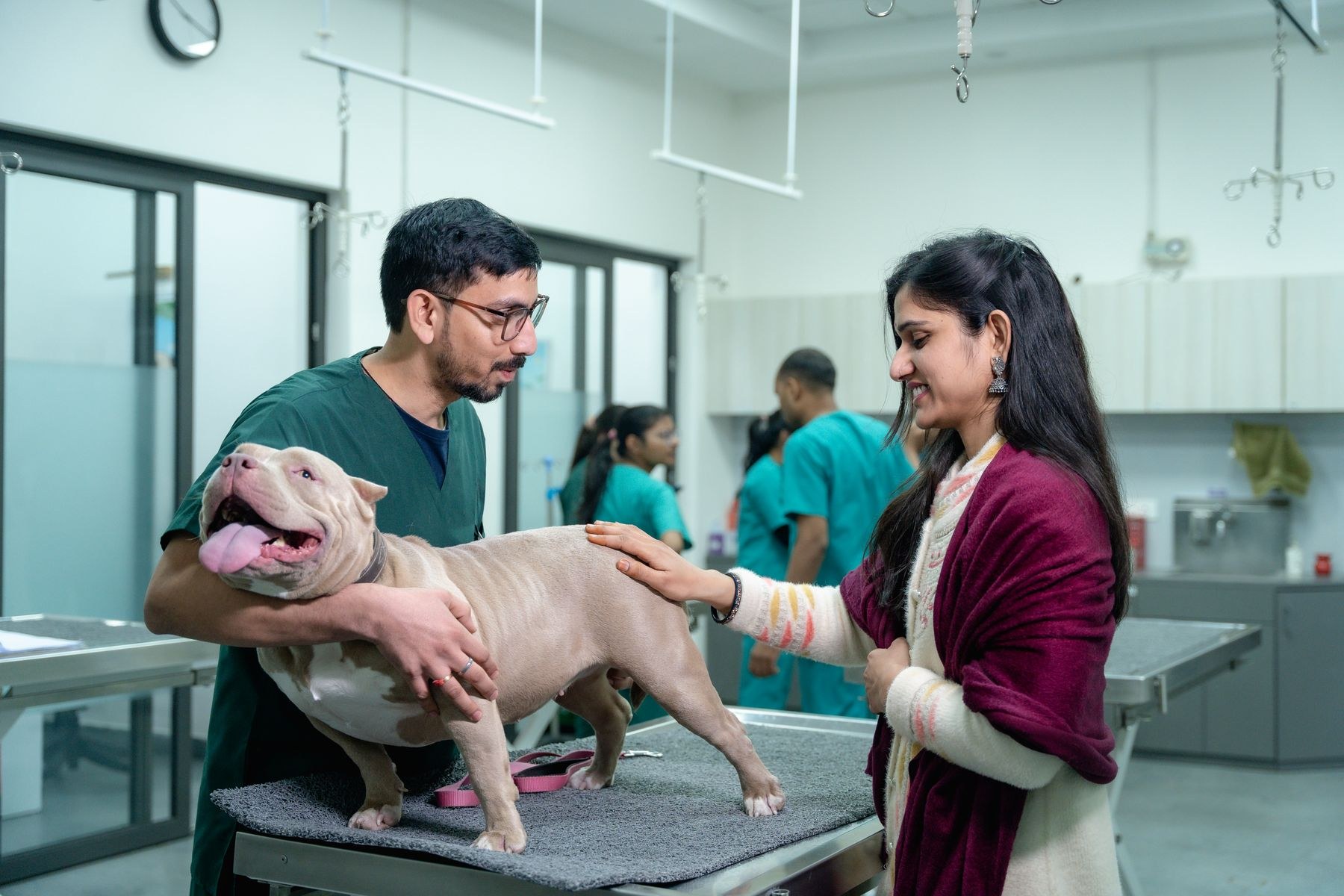 Veterinar i vlasnica tokom pregleda psa u veterinarskoj ordinaciji